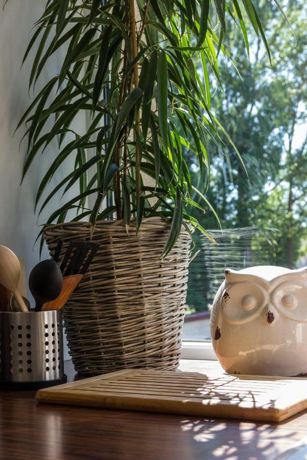 Central Line Apartment Ventspils Ngoại thất bức ảnh